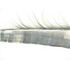 Image 4 : 76" piece of baleen (74)