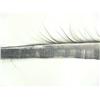 Image 6 : 76" piece of baleen (74)