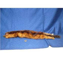 23" mink pelt (2)