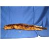 Image 1 : 23" mink pelt (2)
