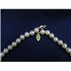 Image 2 : Cultured pearl necklace, 14K yellow gold clasp, pearls: spherical, 6.50mmx7.50mm, luster - very good