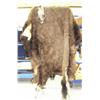 Image 1 : Tanned buffalo hide and unknown animal hide (227)