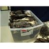Image 5 : Large lot of tanned rabbit skins (246)