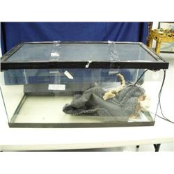 Reptile aquarium (246)