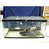 Image 2 : Reptile aquarium (246)