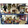 Image 1 : 2 shelves of dolls & stuffed animals - Barbies & porcelain dolls (2)