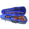 Image 6 : Fiore Violin w/Bow in Case (one string broken)