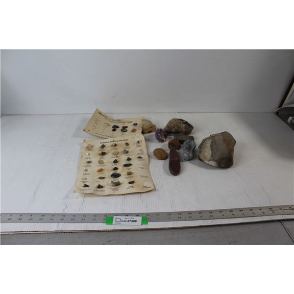 Assorted Minerals, Fossils, and Gems, and Rocks
