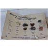Image 3 : Assorted Minerals, Fossils, and Gems, and Rocks