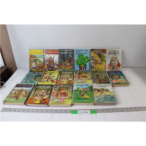 (17) The Bobbsey Twins Books
