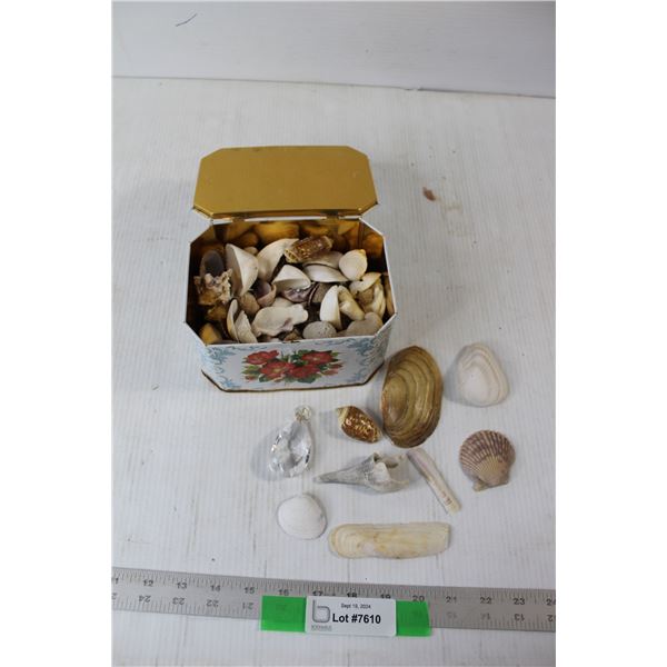 Assorted Seashells, Floral Decorated Tin, Costume Jewelry Piece