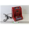 Toro Battery Charger (working)
