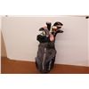 *Idea Adams - Right Hand Golf Club Set in Founders Club Bag - 5 & 6 Irons Left Hand - Bruce Sizemore