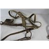 Image 5 : Driving Bridle, Halter Lead Rope