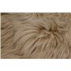 Image 3 : Goat Skin Rug 10' x 5.5'