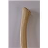 Image 3 : Hickory Handle 32" Axe - as is