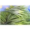 Image 3 : Lot: Faux Grass Decor in Bag