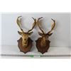 Image 1 : Pair of Plastic Buck Head Plaques