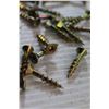 Image 6 : *Lots of Lag Screws - 1"