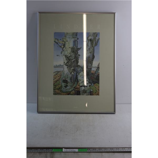 Lindner Print 17'' x 22'' -  Metal Frame