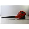 Image 1 : Black & Decker Cordless Leaf Blower (working)