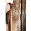 Image 4 : *Fur Town Long "Majestic MINK" Coat w/Hook & Ring Clasps (Size Unknown, Come On Down And Try It On, 