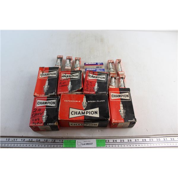 Champion & ACDelco Spark Plugs - Untested