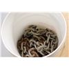 Image 4 : *Approximately 30' Steel 3/8" Chain (Some Rust), 5.5' 1/4" Chain (No Hooks) w/ 5 gal. Pail