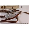 Image 4 : Cinch & 30" Hackamore