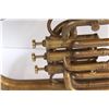 Image 4 : Ideal Brand Tuba - 30" x 18"