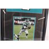 Image 3 : * Dressler # 7 Saskatchewan Roughriders Photo in Frame - 30.5" x 18"