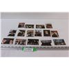 Image 1 : (15) Vintage Beatles Trading Cards - Colour