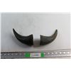 Image 1 : (2) Buffalo Horns