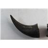 Image 3 : (2) Buffalo Horns