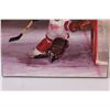 Image 3 : Terry Sawchuk Goalie Hockey Picture - 11.5" x 11.5"