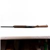 Image 11 : Mossberg 5500MKII 12g 24" Shotgun 050136