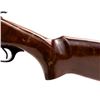 Image 15 : Companhia Braziliera SB 12g 28" Shotgun     493962
