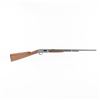 Image 8 : Remington 12 22lr  21.5" TD Rifle (C) 279568