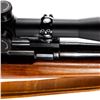 Image 16 : Custom Springfield 1922 22lr 24" Rifle 5884B