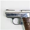Image 2 : Raven MP-25 25acp Pistol 950675