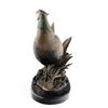Image 11 : Marc Pierce Montana Bronze "Beauty" Pheasant
