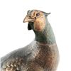 Image 5 : Marc Pierce Montana Bronze "Beauty" Pheasant