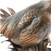 Image 6 : Marc Pierce Montana Bronze "Beauty" Pheasant