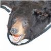 Image 3 : Black Bear Rug Taxidermy