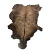Image 1 : Winter American Buffalo Hide Blanket/Throw