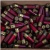 Image 2 : 150+ Paper Shotgun shells 12+16ga
