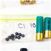 Image 5 : Crowd Riot 12 Ga Shotgun Shell Lot-Rubber Bullet