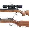 Image 4 : 2x Air Rifles