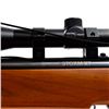 Image 16 : 2x Crosman .177 Break Barrels Airguns