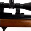 Image 16 : 2x Airguns